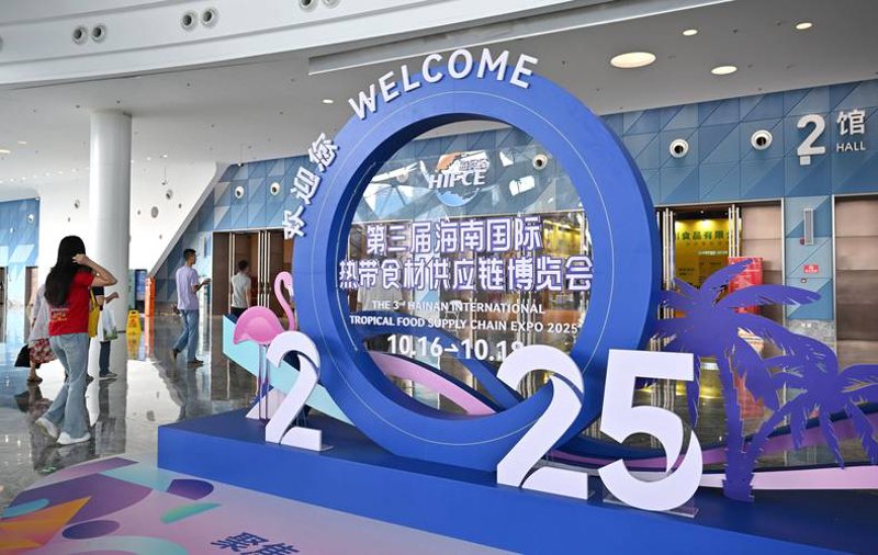海口商贸公司的行业动态与趋势洞察